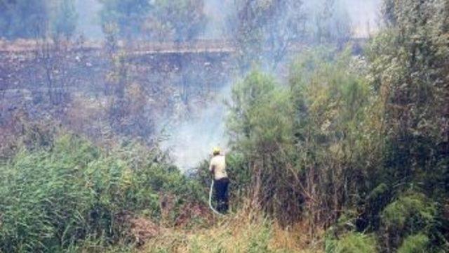 Bursa'daki Orman Yangını Kontrol Altına Alındı