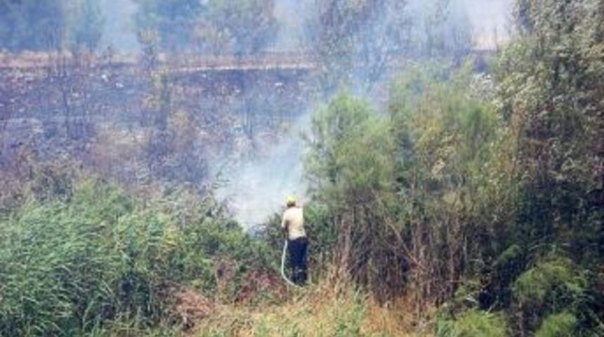 Bursa'daki Orman Yangını Kontrol Altına Alındı