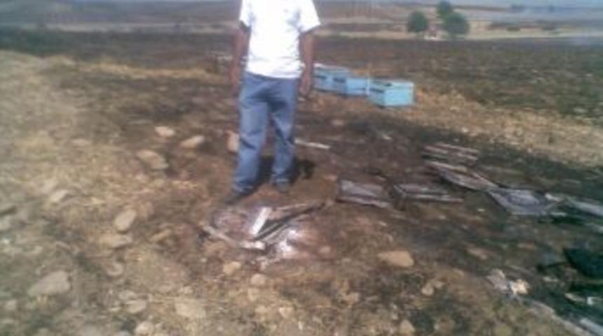 Yangında 40 Kovan Arı Telef Oldu