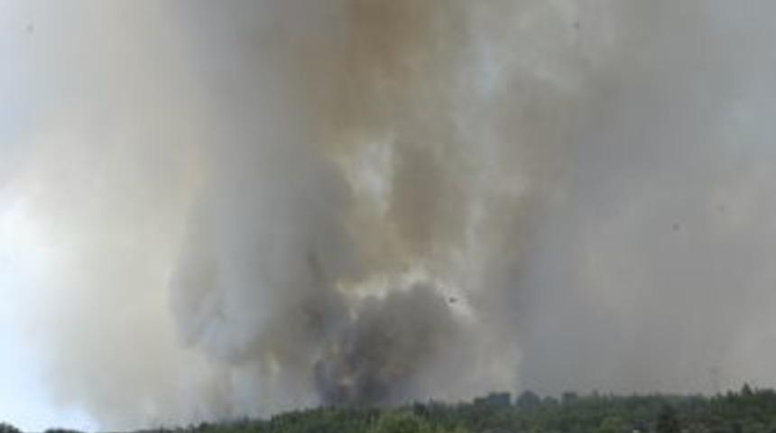 &Ccedil;anakkale'deki Orman Yangını Hafifledi