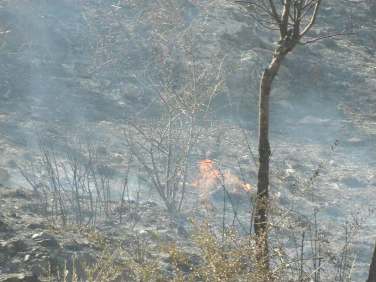Milas&rsquo;taki Yangınların Bilan&ccedil;osu 100 Hektar