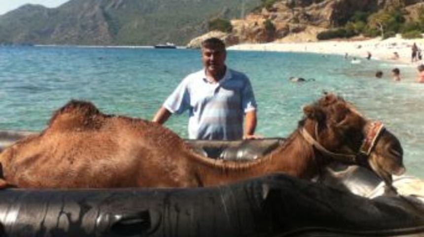 &Ouml;l&uuml;deniz&rsquo;de şişme botla deve kurtarma operasyonu