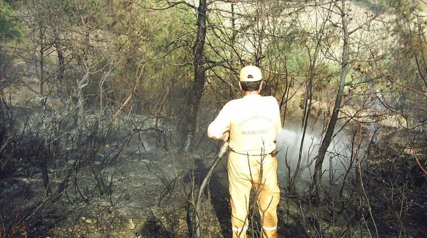 Kadirli&rsquo;de 27 Hektar Ormanlık Alan K&uuml;l Oldu