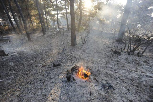 Çanakkale'deki Yangında Soğutma Çalışmaları Devam Ediyor