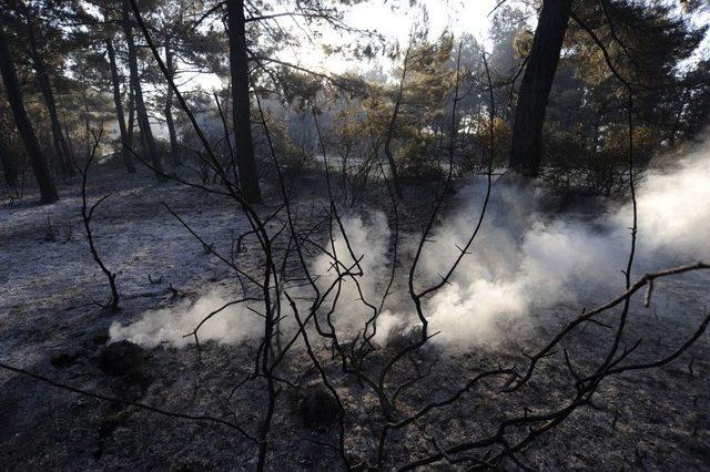 Çanakkale'deki Yangında Soğutma Çalışmaları Devam Ediyor