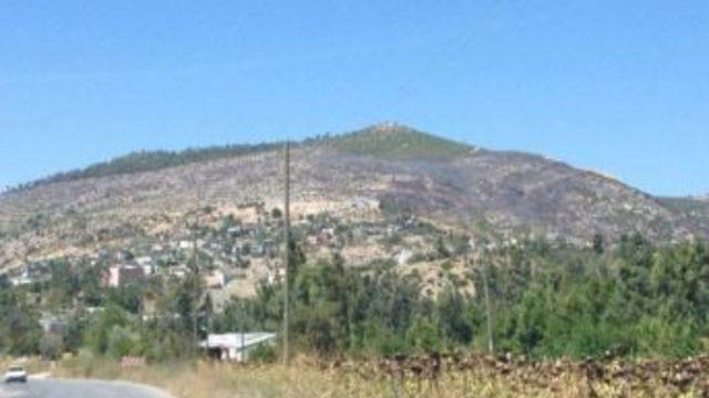 Karaisalı Hasan Dağı Kabak Dağı Oldu