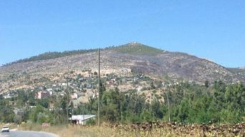 Karaisalı Hasan Dağı Kabak Dağı Oldu