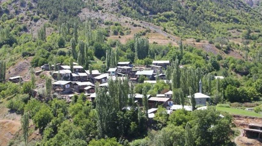 K&ouml;y&uuml; Pireler Sardı