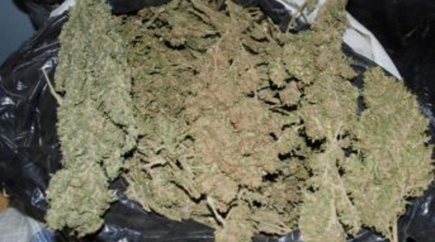 Gazipaşa'da Ormanda 10 Kilogram Esrar Ele Ge&ccedil;irildi