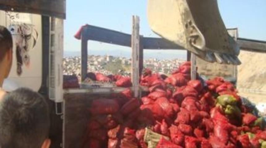 Bursa&rsquo;da 16 Bin 250 Kilo Ka&ccedil;ak Midye Ele Ge&ccedil;irildi
