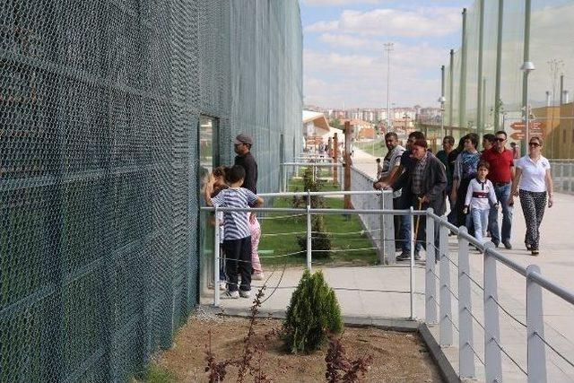 Haydi Kayseri, Hayvanat Bahçesine