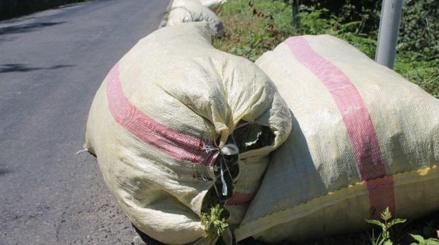 Fındık &Uuml;reticisine Aflatoksin Uyarısı