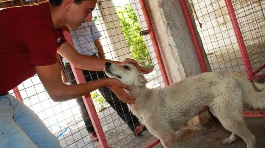Cankız Ortaklar&rsquo;da Şifa Buldu