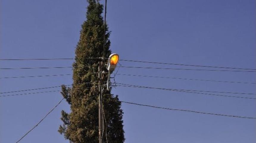Siverek&rsquo;te G&uuml;nd&uuml;z A&ccedil;ık Unutulan Sokak Lambalarına Tepki