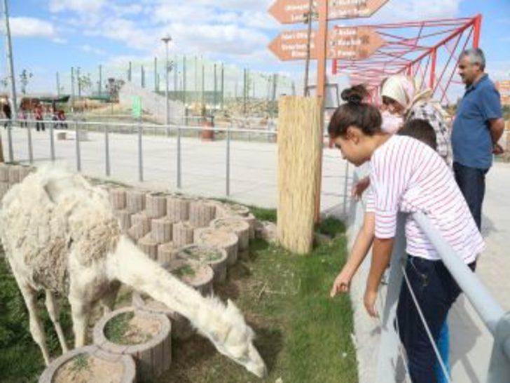 harikalar diyari hayvanat bahcesi de kapilarini acti kayseri haberleri