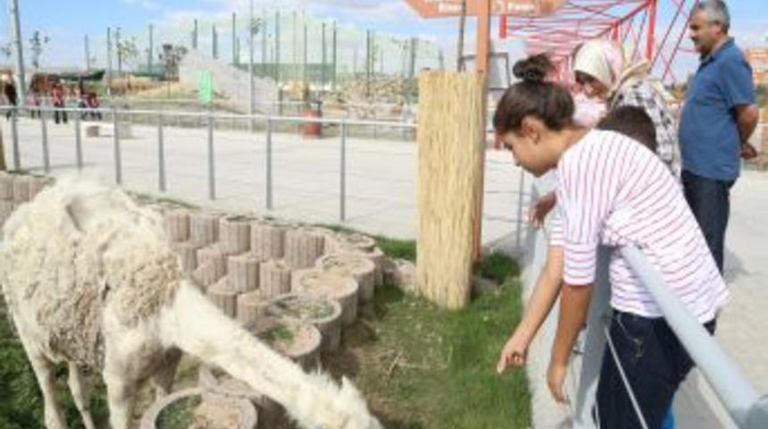 Harikalar Diyarı Hayvanat Bah&ccedil;esi De Kapılarını A&ccedil;tı