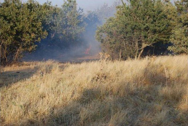 Eşme Anız Yangını Korkuttu 1