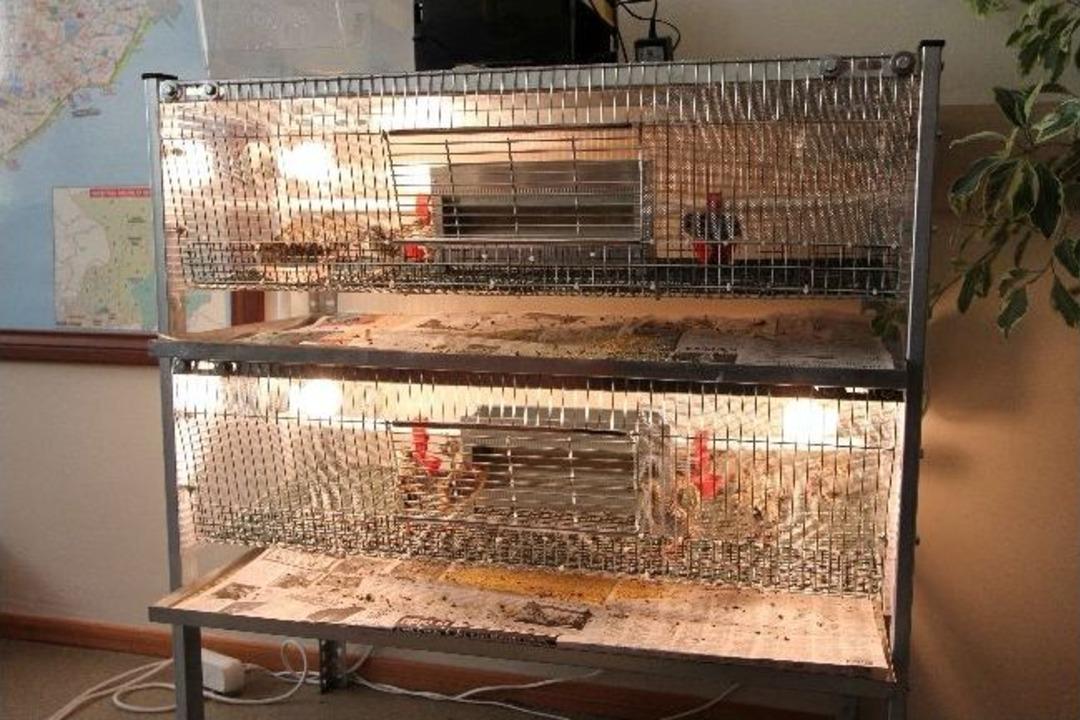 Karşıyaka Belediyesi'nden Doğal Yaşama Katkı