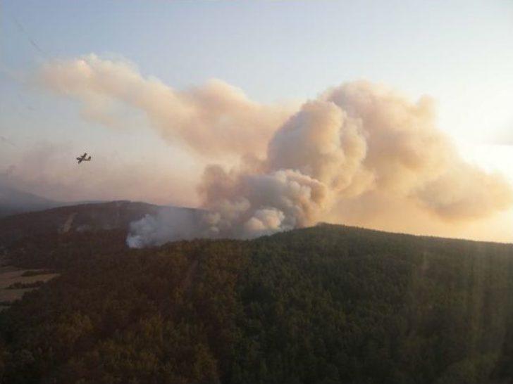 Çanakkale'deki Acı Bilanço Havadan Böyle Görüntülendi G1
