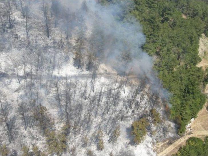 Çanakkale'deki Acı Bilanço Havadan Böyle Görüntülendi G4