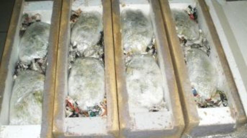 Esrarın Kokusunu Naftalin Ve Tuzla Engellemek Istemiş