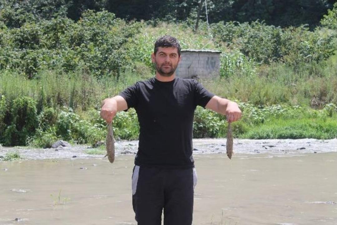 Trabzon'da Derede Balık &Ouml;l&uuml;mleri