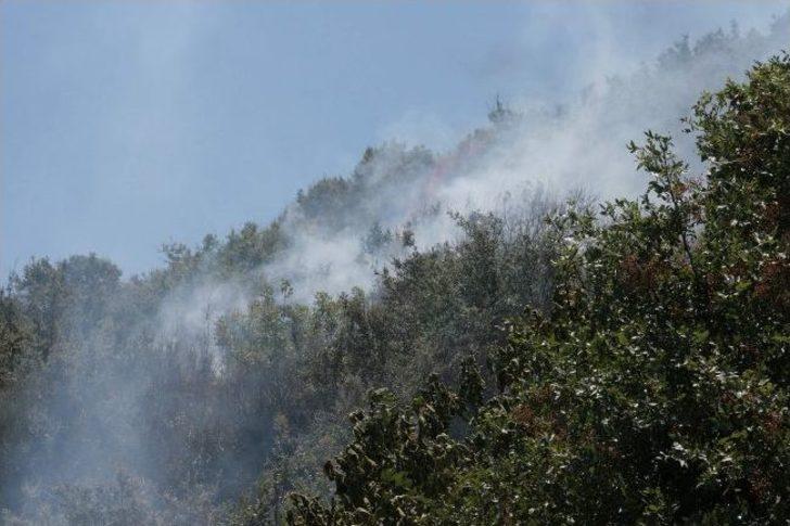 Ortaca’da Orman Yangını G1