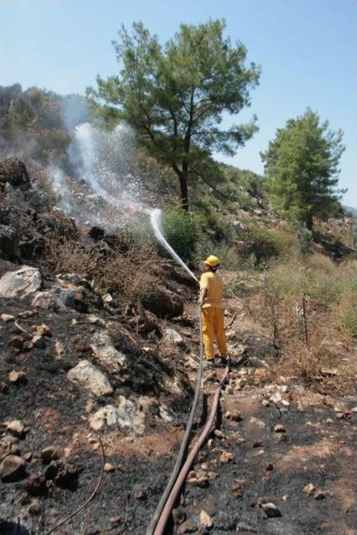 Ortaca’da Orman Yangını G2