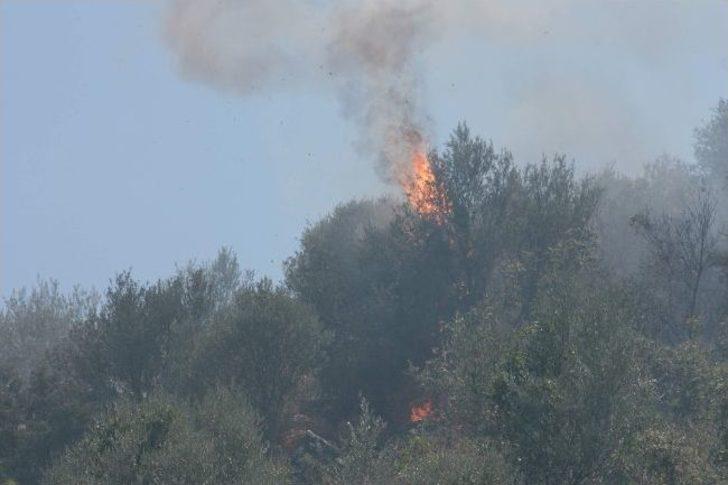 Ortaca’da Orman Yangını G3