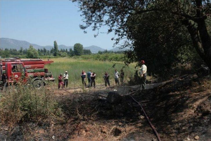 Ortaca’da Orman Yangını G4