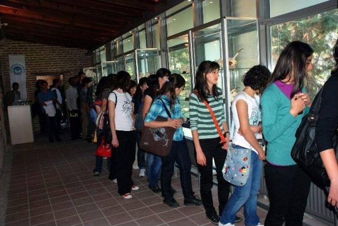 Odunpazarı&rsquo;nda 40 Sokakta 400 Ev Restore Edildi