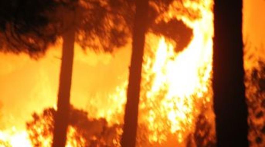 Mersin'deki Orman Yangını Kontrol Altında