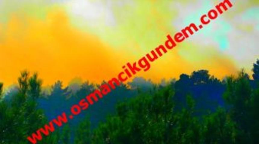 Orman yangını kontrol altına alındı