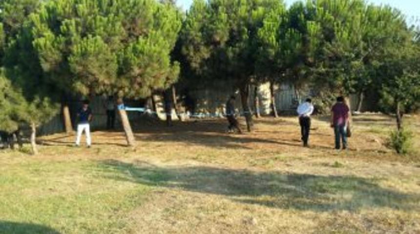 Ağaca Asılı Ceset Polisi Alarma Ge&ccedil;irdi