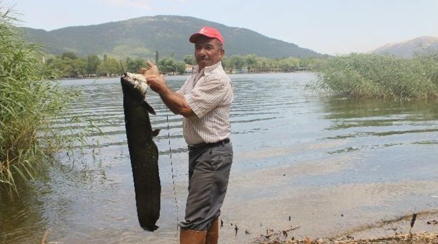 "rastgele" Dedi, 20 Kiloluk "yayın" Yakaladı
