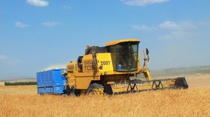 Malazgirt&rsquo;te Hasat D&ouml;nemi