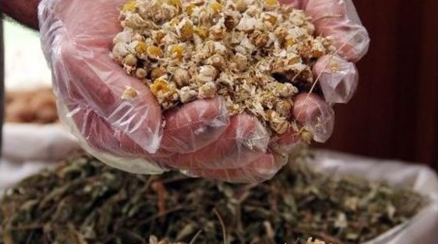 Ahlat'ta En &Ccedil;ok "papatya &Ccedil;ayı" Rağbet G&ouml;r&uuml;yor