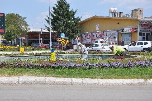 Süs Havuzları Temizleniyor