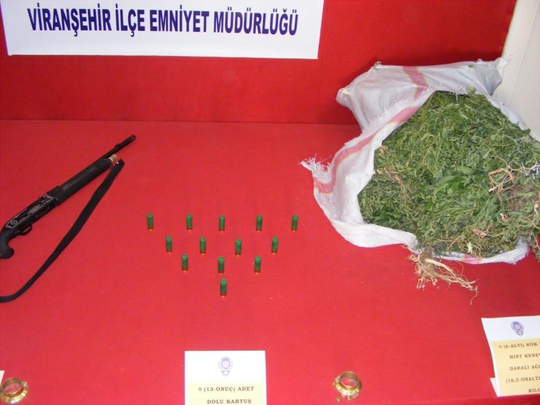 Viranşehir'de Uyuşturucu Operayonu