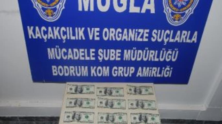 Bodrum’da Sahte Dolar Paniği