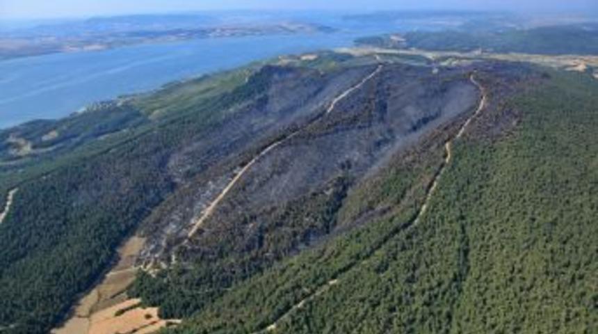 Gelibolu Yarımadası'ndaki Yangında Soğutma &Ccedil;alışmasına Başlandı