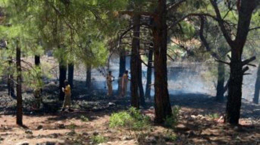 Mut'ta 10 D&ouml;n&uuml;m Ormanlık Alan Yandı