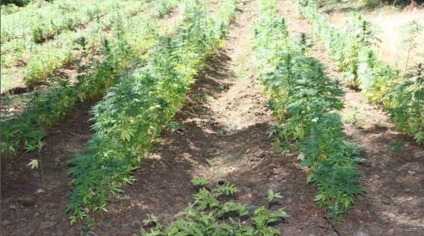 Osmaniye&rsquo;de Uyuşturucu Operasyonu