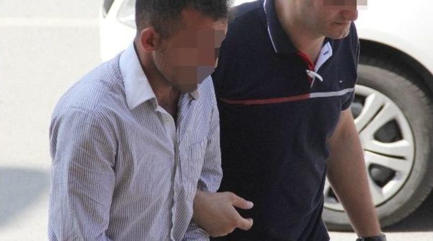 Domates Serasında Dişi Hint Keneviri Yetiştirdi