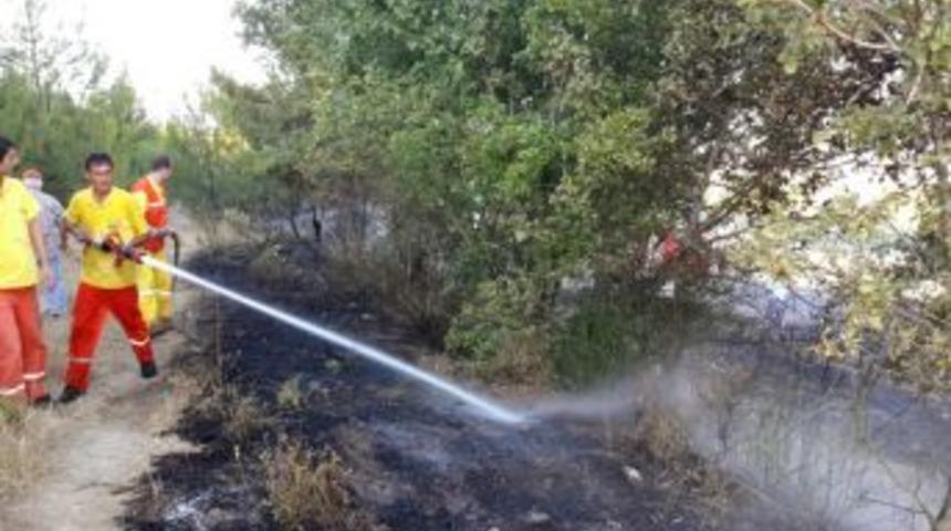 Pamukova'da Makilik Alanda Yangın