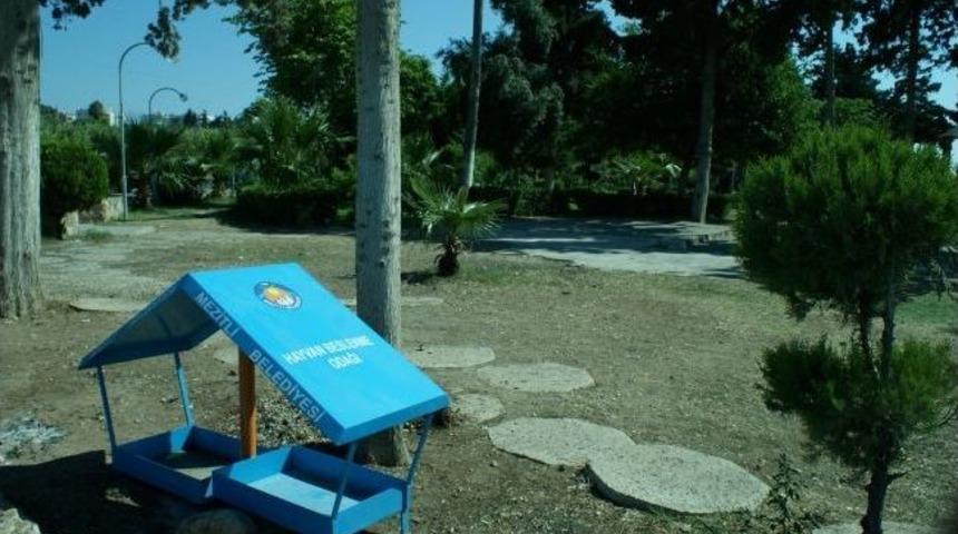 Mezitli&rsquo;de Sokak Hayvanlarına Beslenme Odakları