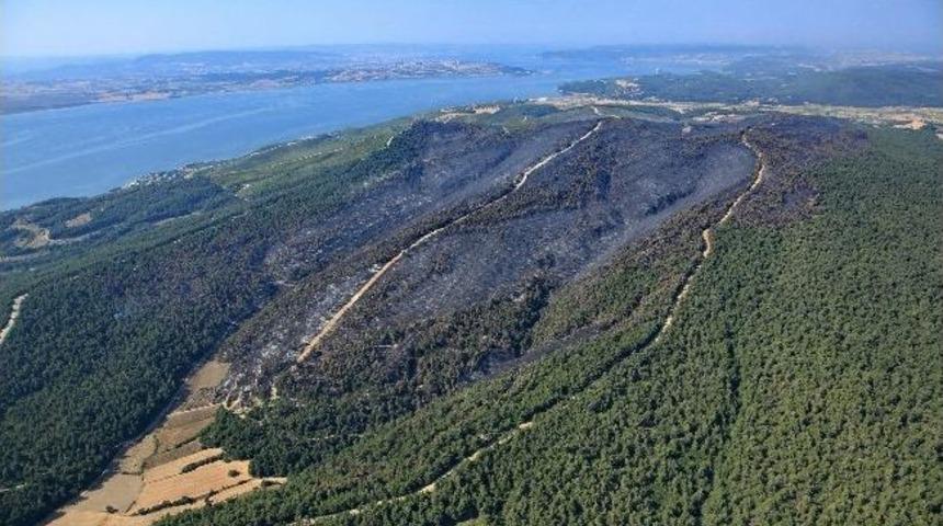 Gelibolu'nun Ciğerleri İşte B&ouml;yle Karardı