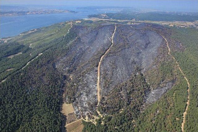 Gelibolu'nun Ciğerleri İşte Böyle Karardı