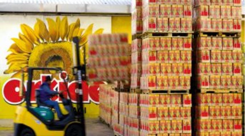 Orkide Ilk 500&rsquo;deki Istikrarını Devam Ettiriyor