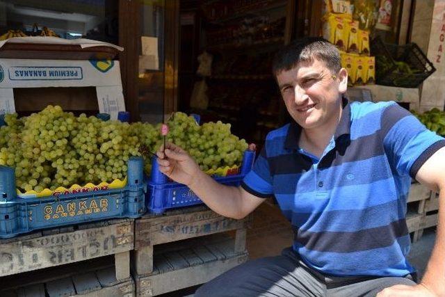 Üzümleri Delen Yaban Arılarına Şekerli Önlem